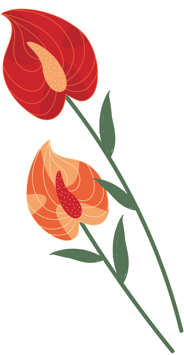 Illustration de fleurs